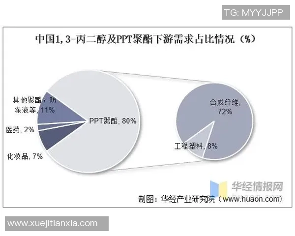 北京排球队技术分析与战术创新的深度探讨与展望 北京排球队技术分析与战术创新的深度探讨与展望