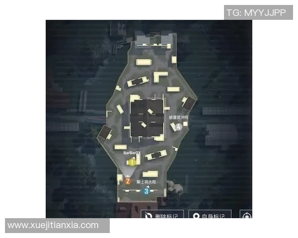 和平精英战术揭秘：深入分析BLG团队的制胜之道与策略运用