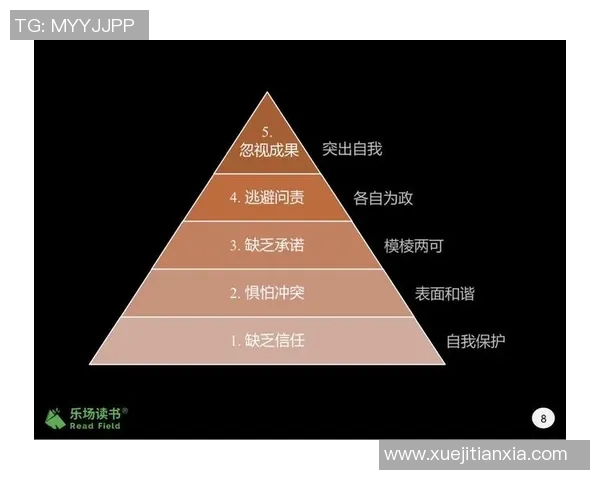 成都排球队灵活性分析:战术创新与团队协作的完美结合 成都排球队灵活性分析:战术创新与团队协作的完美结合