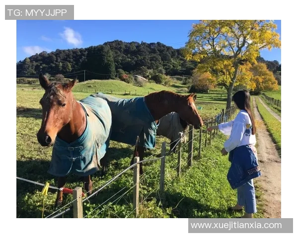 杭州极限运动队快攻策略解析与热点动态探讨 杭州极限运动队快攻策略解析与热点动态探讨