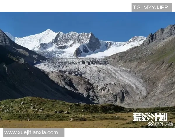 深圳极限运动队战术变革引发热议探索新竞技模式与团队协作的未来
