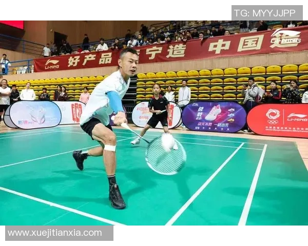 西安羽毛球队进攻策略揭秘：从技术到战术的深度分析与探讨